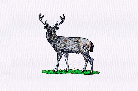 White Tailed Deer Design: An Embroidery Designer's Honest Review
